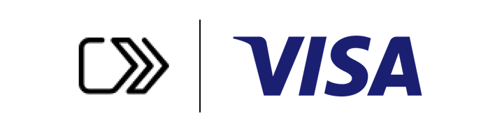 Visa Checkout Logo