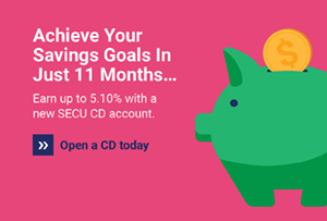 Achieve your savings goals in just 11 months