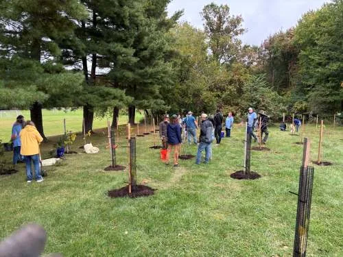 Group of people planting new trees