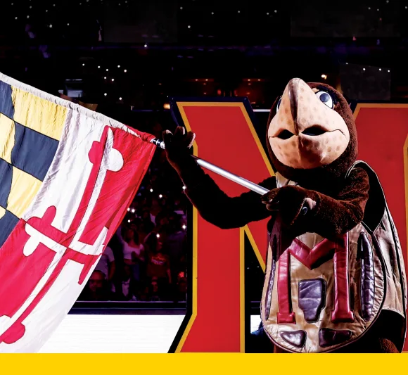 Terps mascot waving Maryland flag