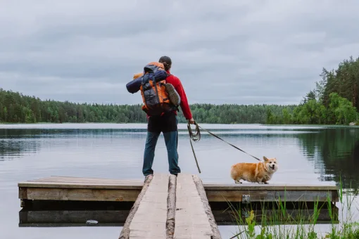 Man and dog on pier