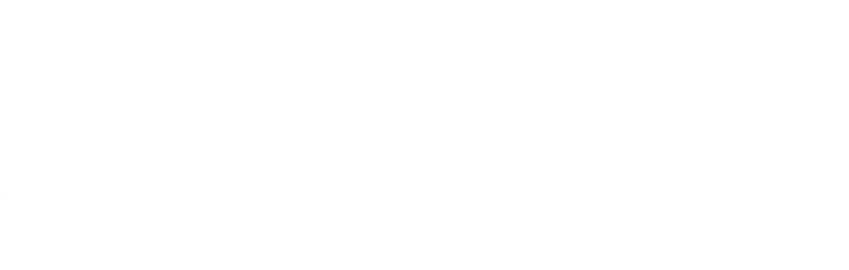 Salisbury University logo